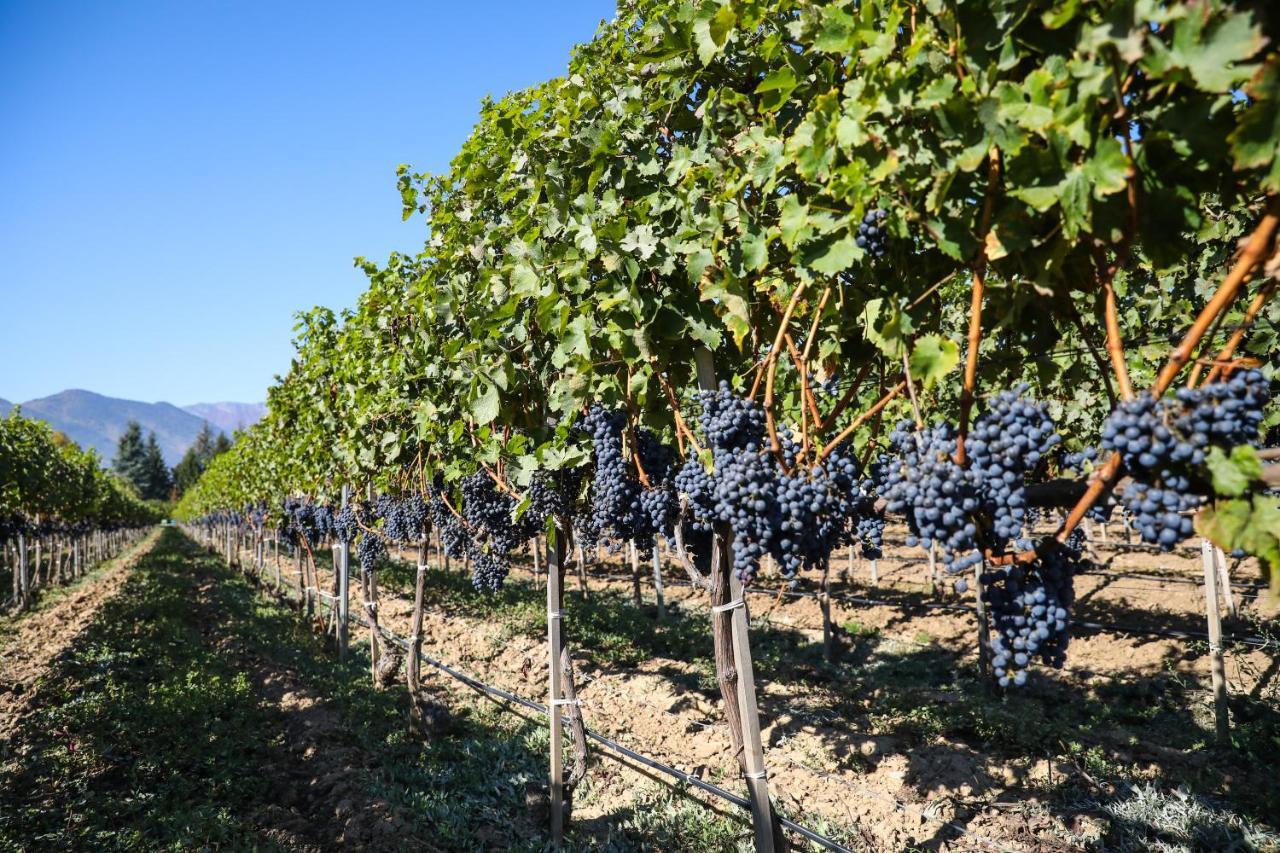 Uva Nestum Wine & Spa Γκότσε Ντέλτσεφ Εξωτερικό φωτογραφία