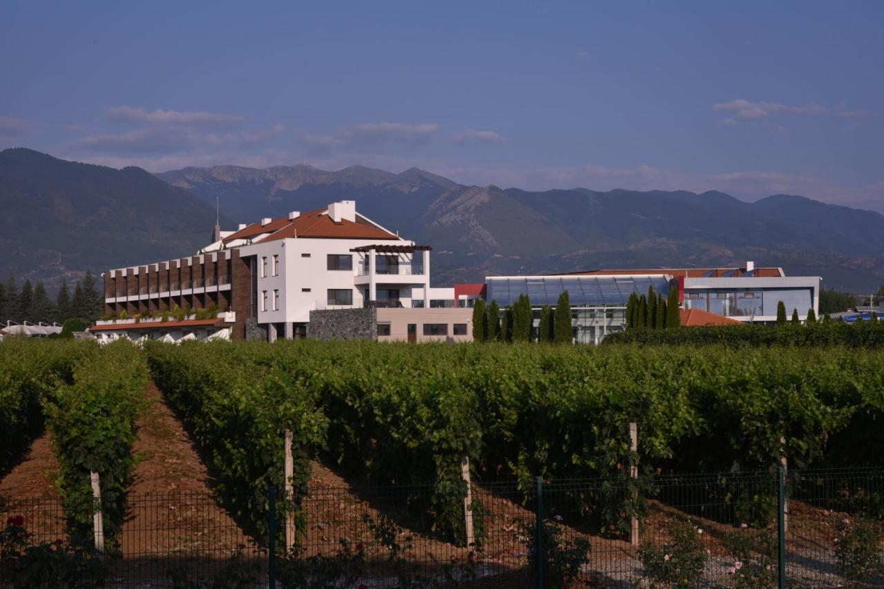 Uva Nestum Wine & Spa Γκότσε Ντέλτσεφ Εξωτερικό φωτογραφία